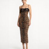 Wild After Dark Dress